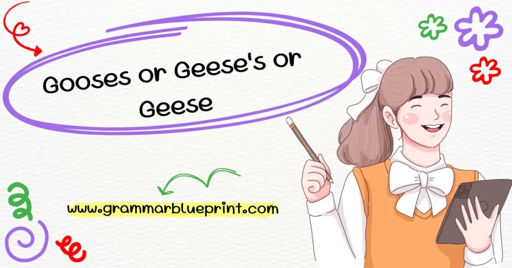 Gooses or Geese's or Geese